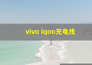 vivo iqoo充电线